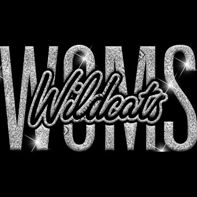 GLT95 SILVER GLITTER Thumbnail