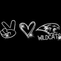 GLT86 SILVER GLITTER Thumbnail