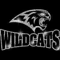 GLT32 SILVER GLITTER Thumbnail